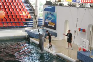 Варна